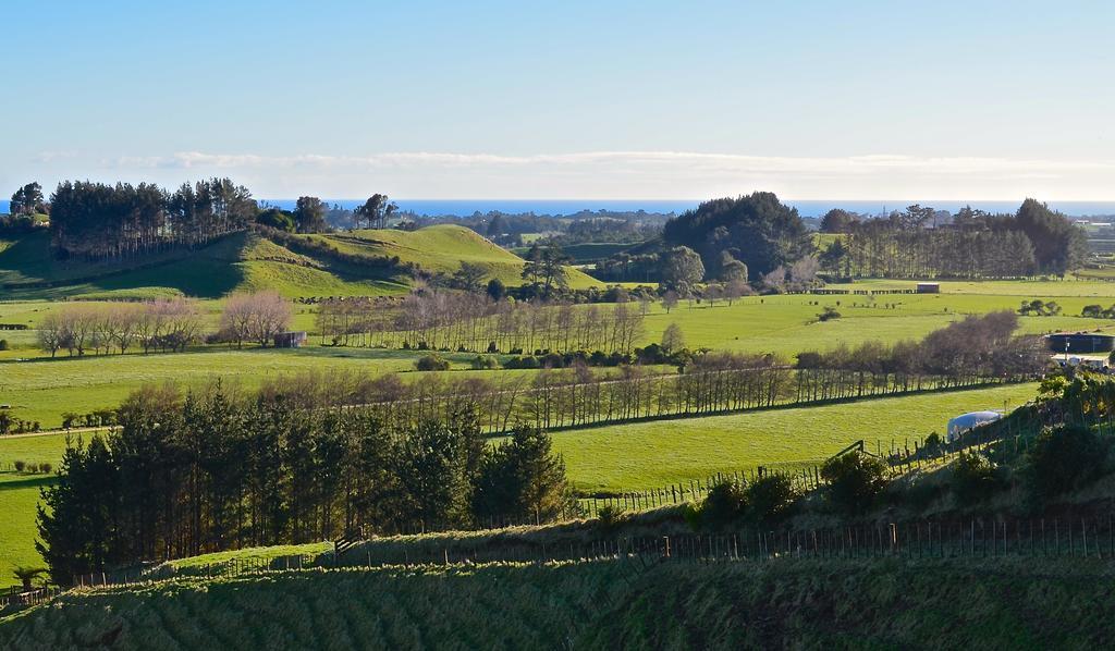 A Touch Of Tuscany At Hillsborough New Plymouth Exteriör bild