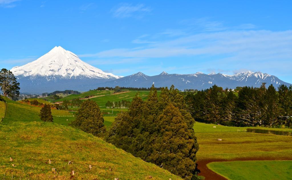 A Touch Of Tuscany At Hillsborough New Plymouth Exteriör bild