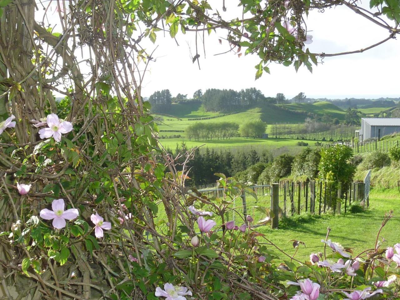A Touch Of Tuscany At Hillsborough New Plymouth Exteriör bild
